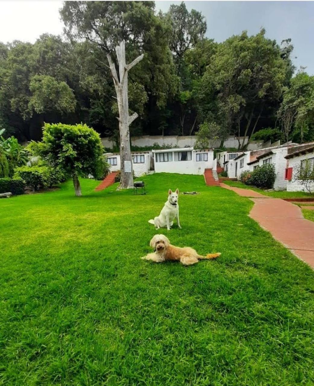 Club Santa Maria Hotel Cuernavaca Exterior foto